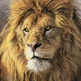 Portrait Of A Lion by Lucie Bilodeau