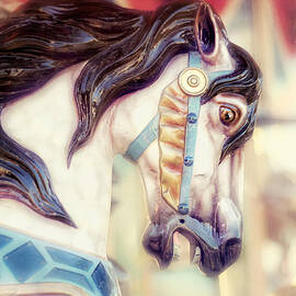 Prince Charming by Amy Tyler