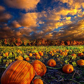 Pumpkin Crossing by Phil Koch
