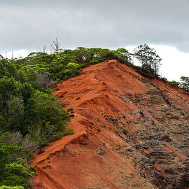 Red Cliff at Waimea