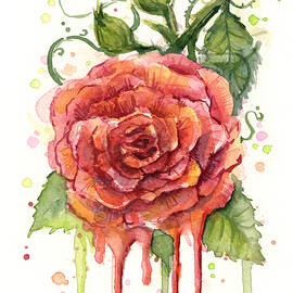 Red Rose Dripping Watercolor  by Olga Shvartsur