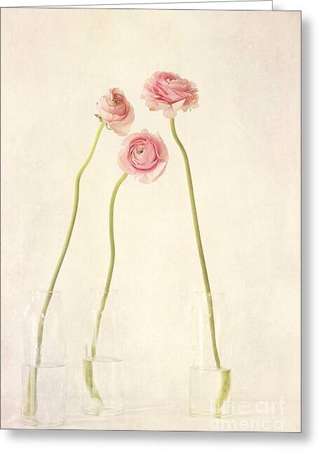 Elegant Ranunculus Trio Greeting Card