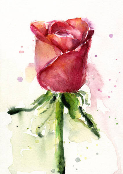 Delicate Watercolor Rose Wall Art