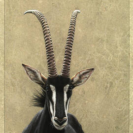 Sable by James W Johnson