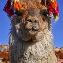 Salar de Uyuni Tour 18 by Skip Hunt