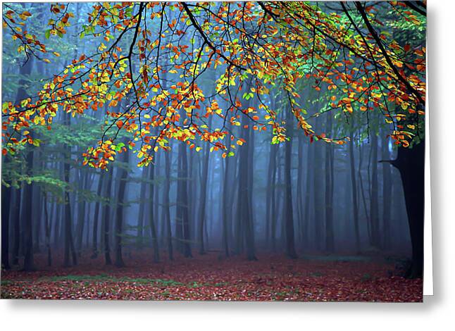 Autumn Leaves in Misty Forest Greeting Card