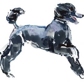 Sheer Class by Mark Adlington