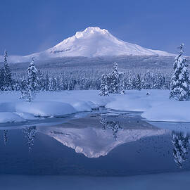 Silence by Gerald Macua