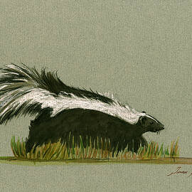 Skunk animal by Juan  Bosco