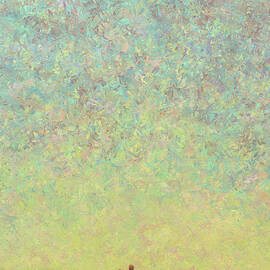 Skywatching by James W Johnson