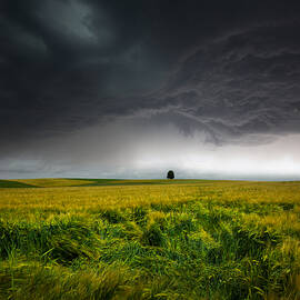 Sommergewitter by Franz Schumacher