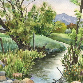 South Boulder Creek by Anne Gifford