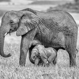 Staying Close And Protected by Jeffrey C. Sink