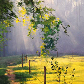 Sunlit trail by Graham Gercken