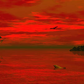 Sunset arrival by Claude McCoy