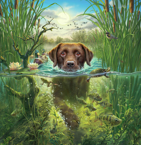 Dog Swimming in Nature Wall Art