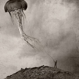 Tethered by Jeffrey Hummel