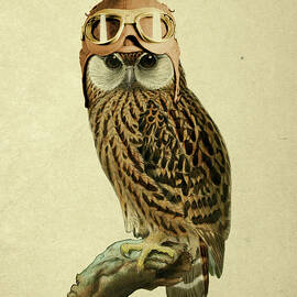 The Aviator by Madame Memento