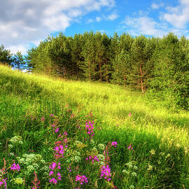 The beach meadow by Veikko Suikkanen