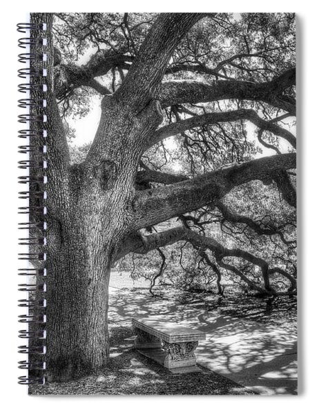 Majestic Sprawling Oak Tree Spiral Notebook