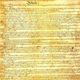 The Constitution of the United States of America by Design Turnpike