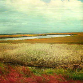 The Low Country by Amy Tyler