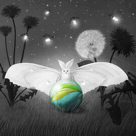 The Luna Moth by Eric Fan