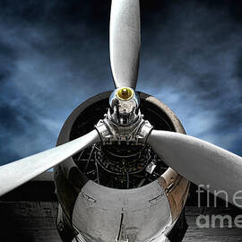 The Mission by Olivier Le Queinec