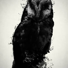 The Owl by Nicklas Gustafsson