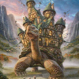 Tortoise House by Phil Jaeger