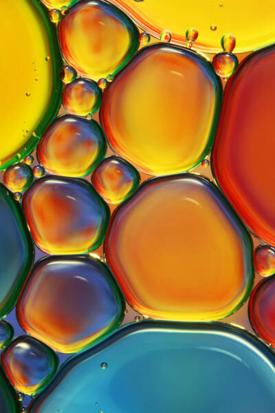 Colorful Oil and Water Bubbles Wall Art