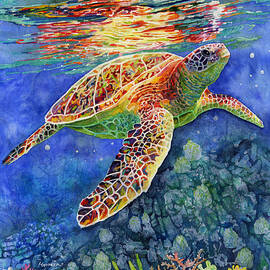 Turtle Reflections by Hailey E Herrera