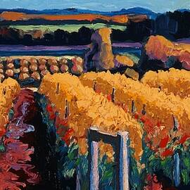 Vineyard Light by Christopher Mize