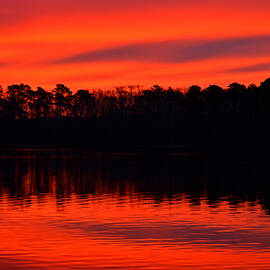 Vivid Winter Sunrise