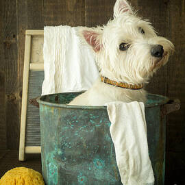 Wash Day by Edward Fielding