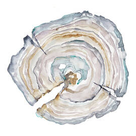 Watercolor Tree Ring I by Ethan Harper
