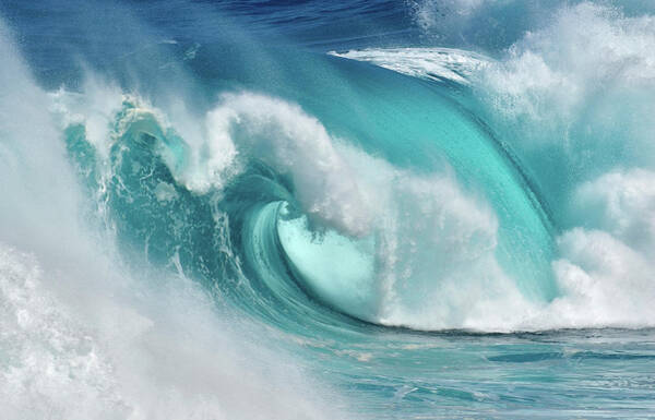 Powerful Ocean Wave Crashing Wall Art