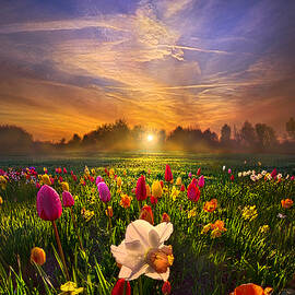 Wherever The Journey Takes Us by Phil Koch