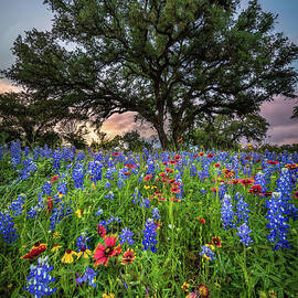 Wildflower Tree by Inge Johnsson