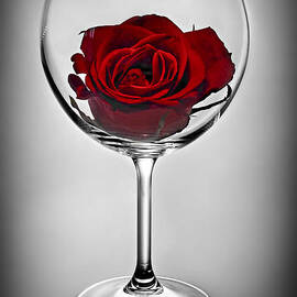 Wine glass with rose by Elena Elisseeva