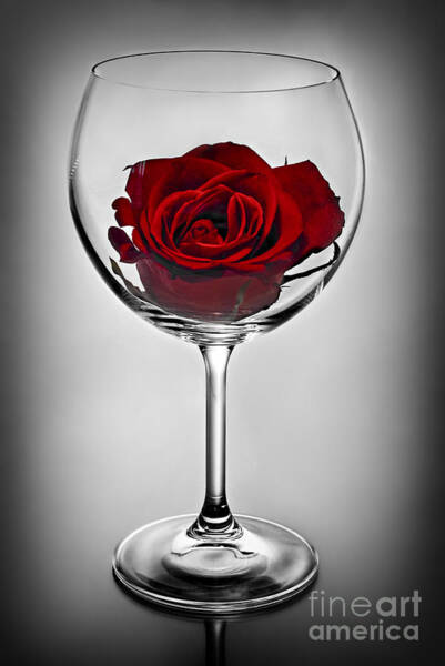 Red Rose in Wine Glass Wall Art