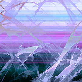 Wings by Holly Kempe