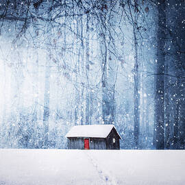 Winter by Bess Hamiti