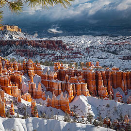 Winter Breeze by Edgars Erglis