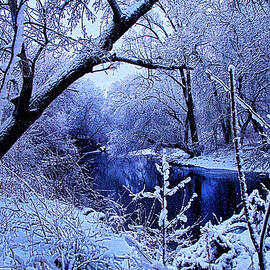 Winter Stream by Phil Koch