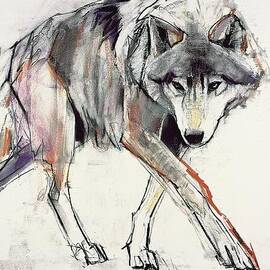 Wolf  by Mark Adlington