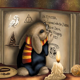 Wow I'm Harry Potter by Veronica Minozzi