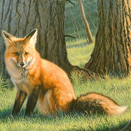 Young Red by Paul Krapf