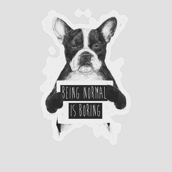 French Bulldog with a Message Sticker