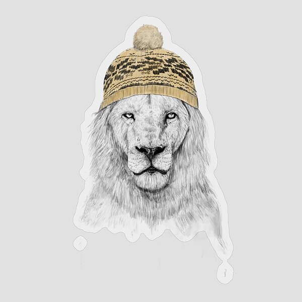 Lion Wearing a Cozy Hat Sticker